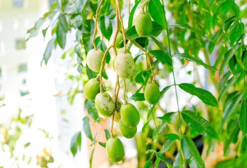 Bed and Breakfast Villa Bellissima