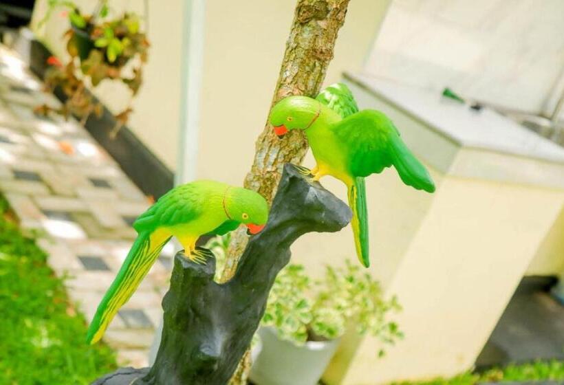 Bed and Breakfast Villa Bellissima