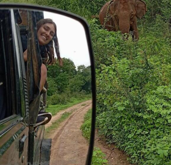 فندق Traget Safari Home Stay