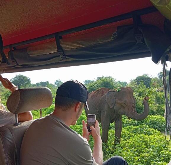 فندق Traget Safari Home Stay