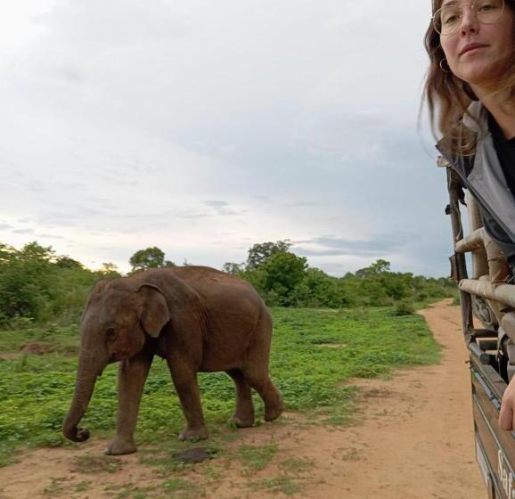 فندق Traget Safari Home Stay