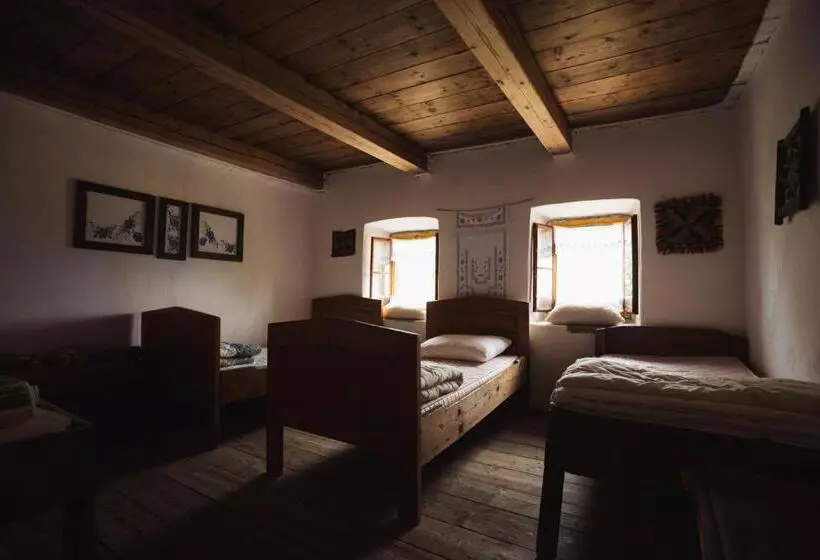 هاستل Household šain