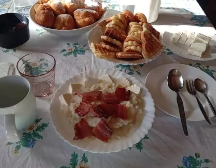 هاستل Household šain