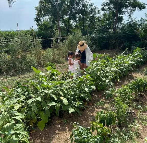 Aamiaismajoitus (B&B) Masseria Novelli