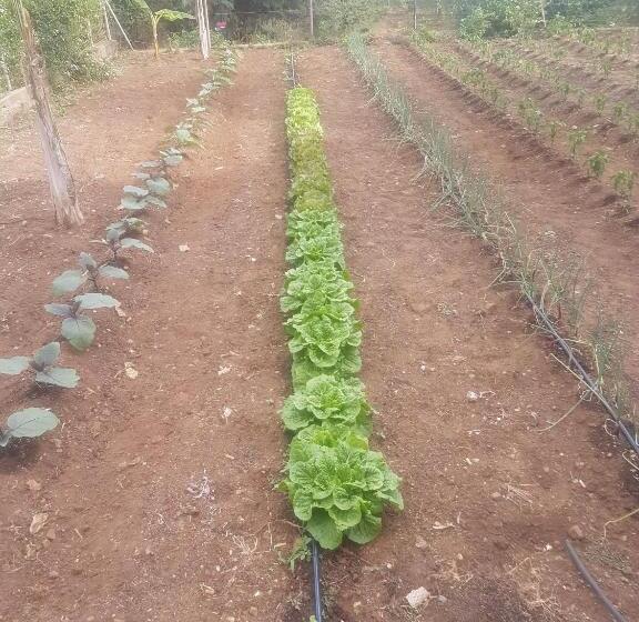 צימר Masseria Novelli