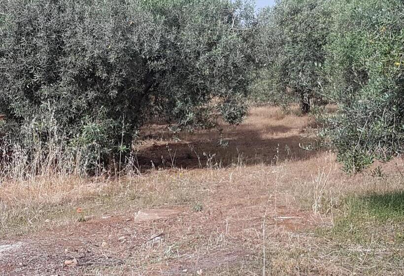 צימר Masseria Novelli