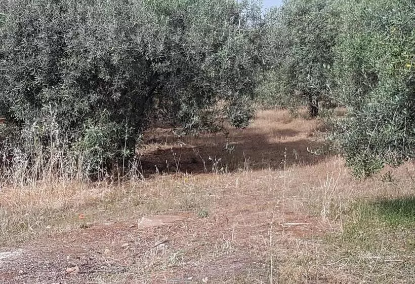 Aamiaismajoitus (B&B) Masseria Novelli