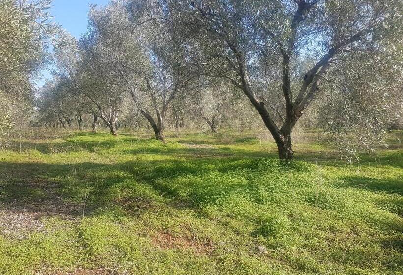 צימר Masseria Novelli