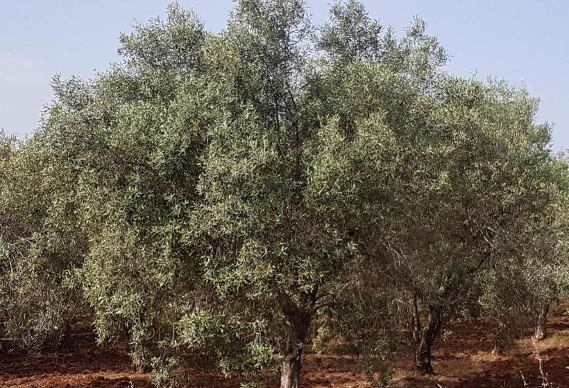 צימר Masseria Novelli