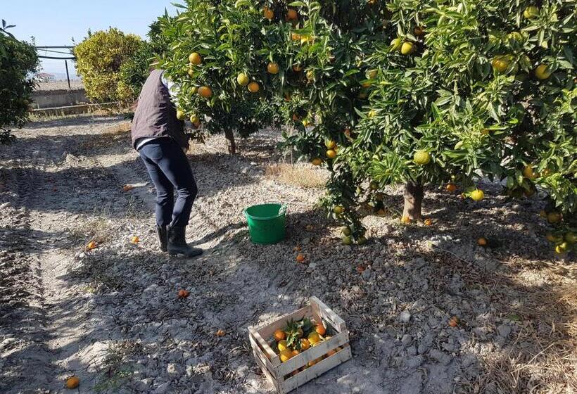 צימר Masseria Novelli