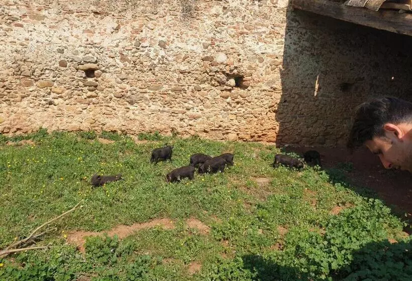 Aamiaismajoitus (B&B) Masseria Novelli