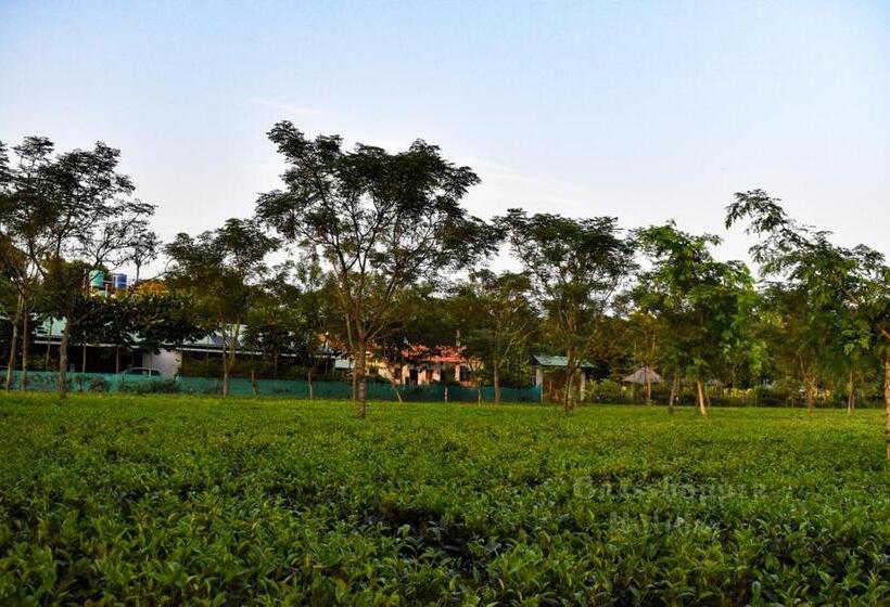 Grasshopper Jungle Queen Resort