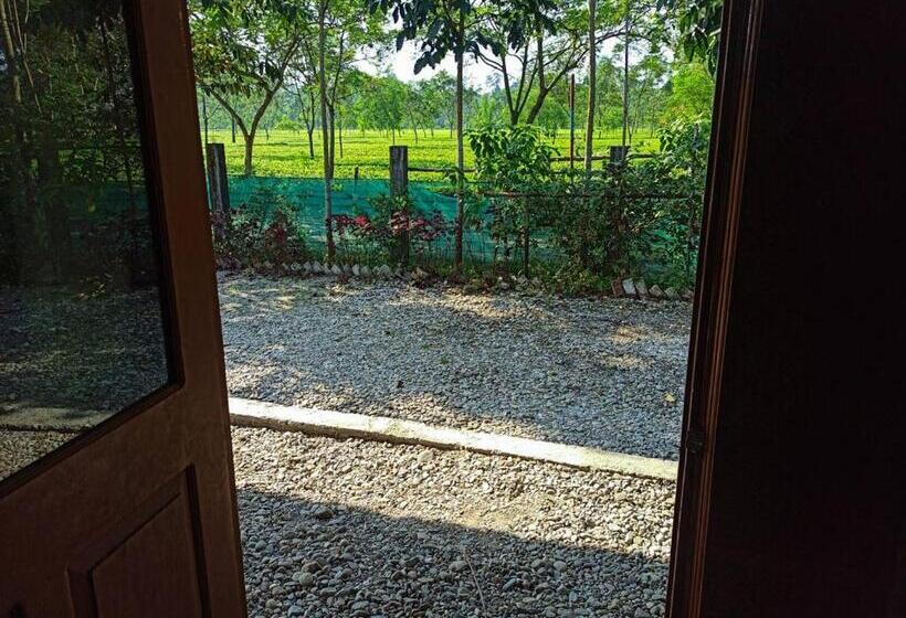 Grasshopper Jungle Queen Resort