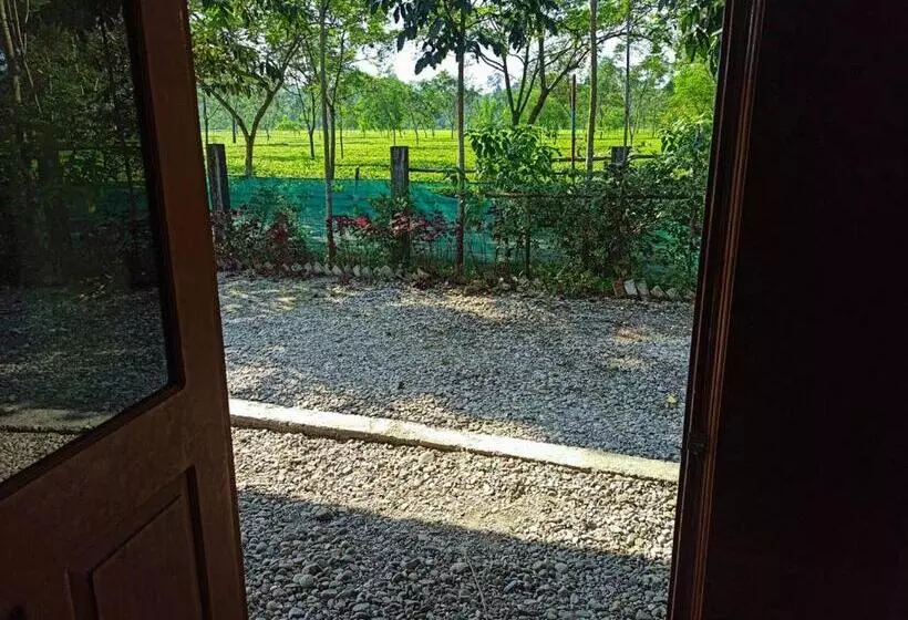 Grasshopper Jungle Queen Resort