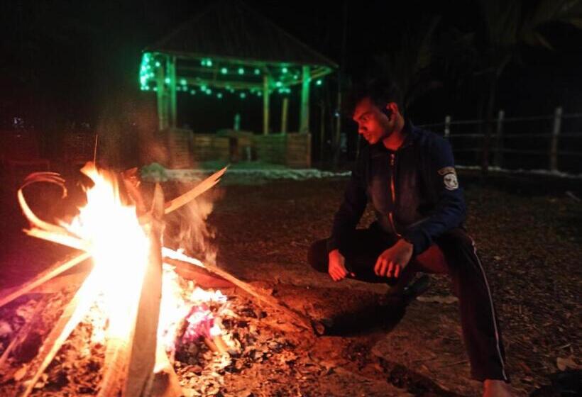 Grasshopper Jungle Queen Resort