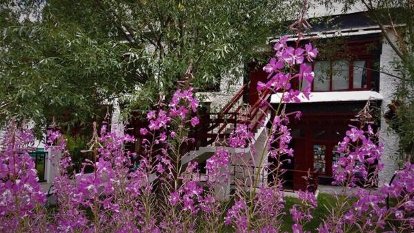 Hotel Lharimo North Nubra Valley