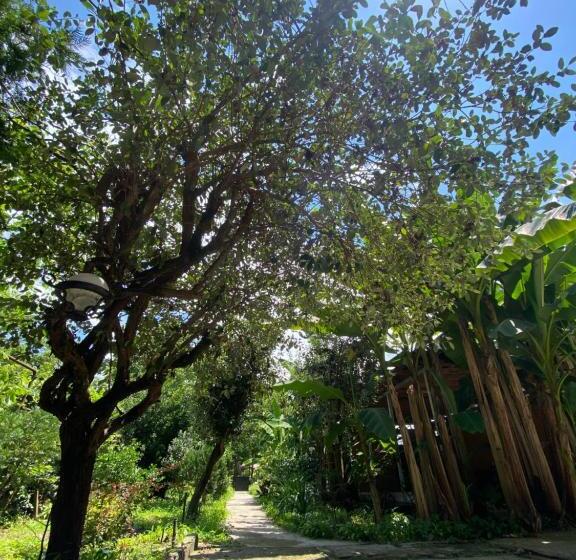 پانسیون Totoro