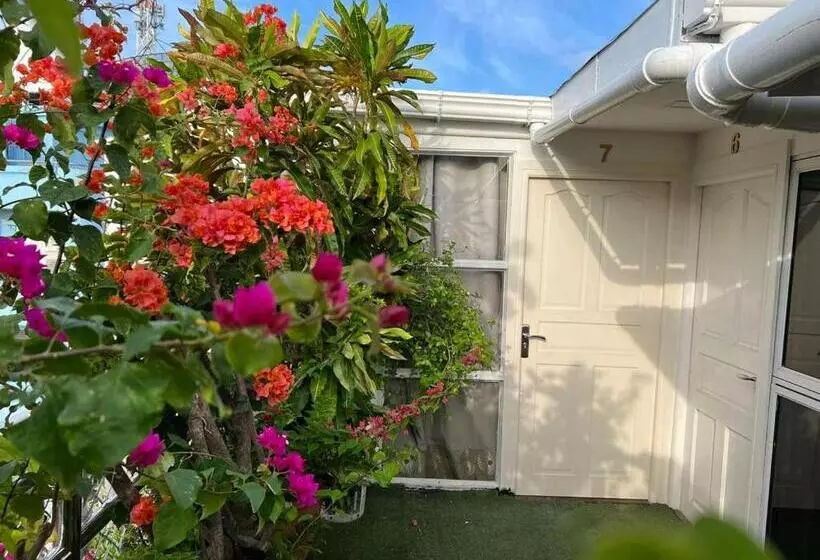 تختخواب و صبحانه Rooftop Rooms