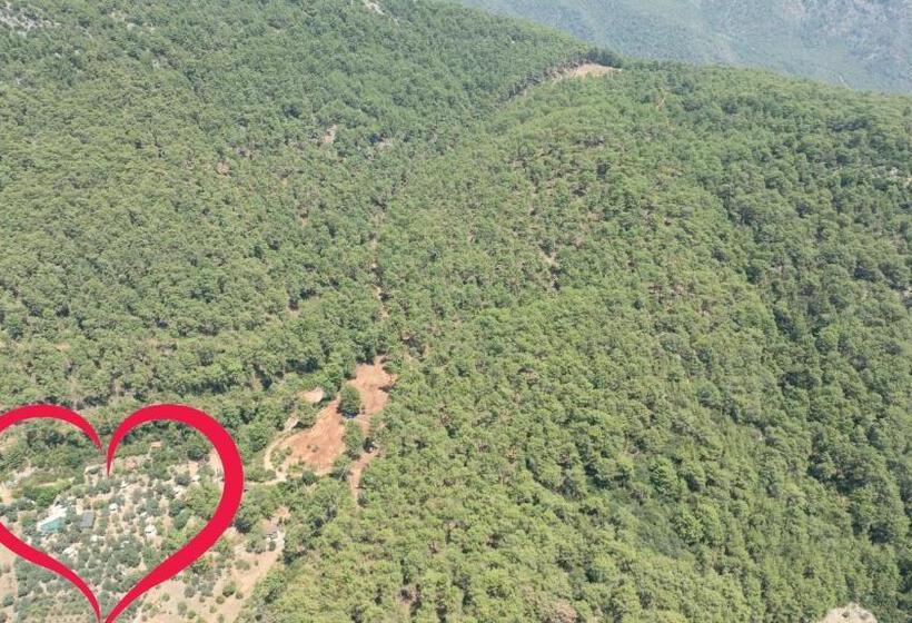 Hotel Pure Life Göcek