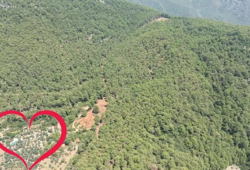 Hotelli Pure Life Göcek