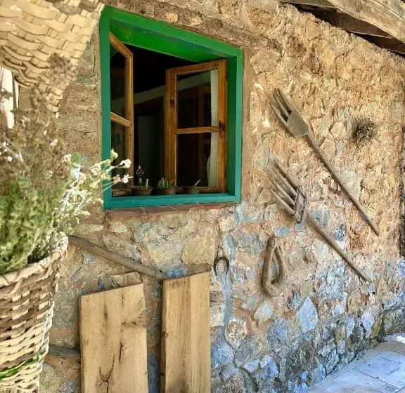 Hotelli Pure Life Göcek