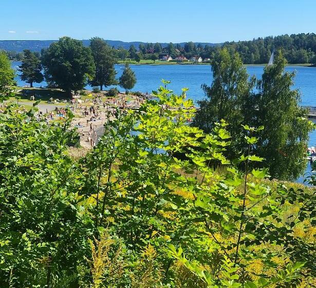 ホテル хотел елица варна