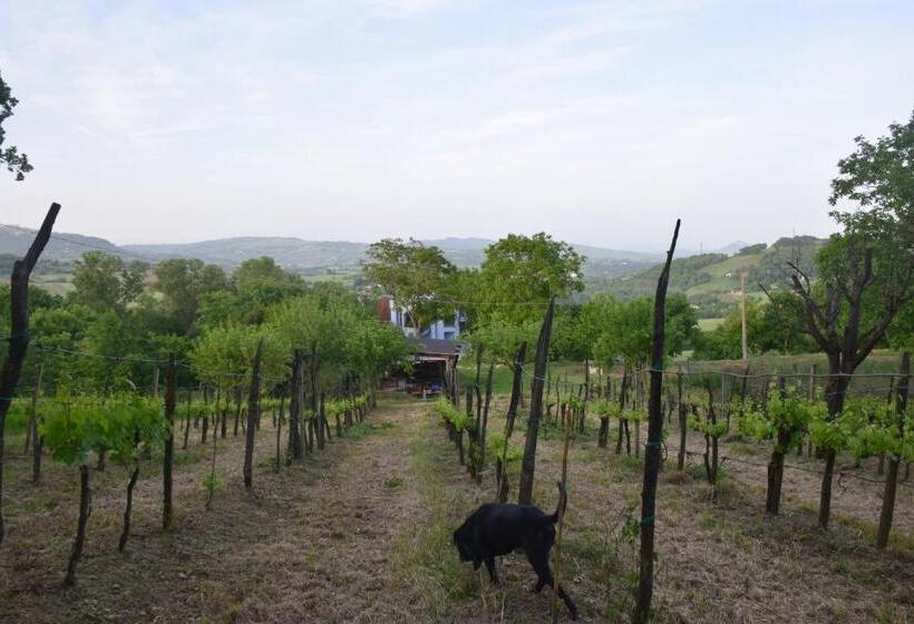 Hotel La Terrazza Delle Noci   Alloggio Agrituristico