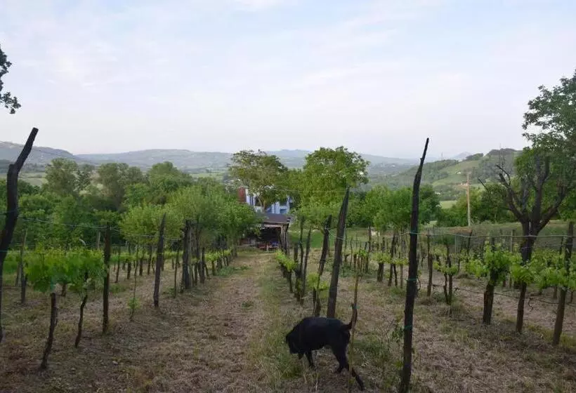 ホテル La Terrazza Delle Noci   Alloggio Agrituristico