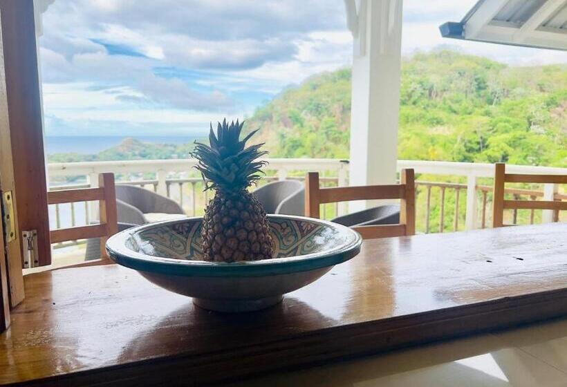 پانسیون Paradise Point Villas