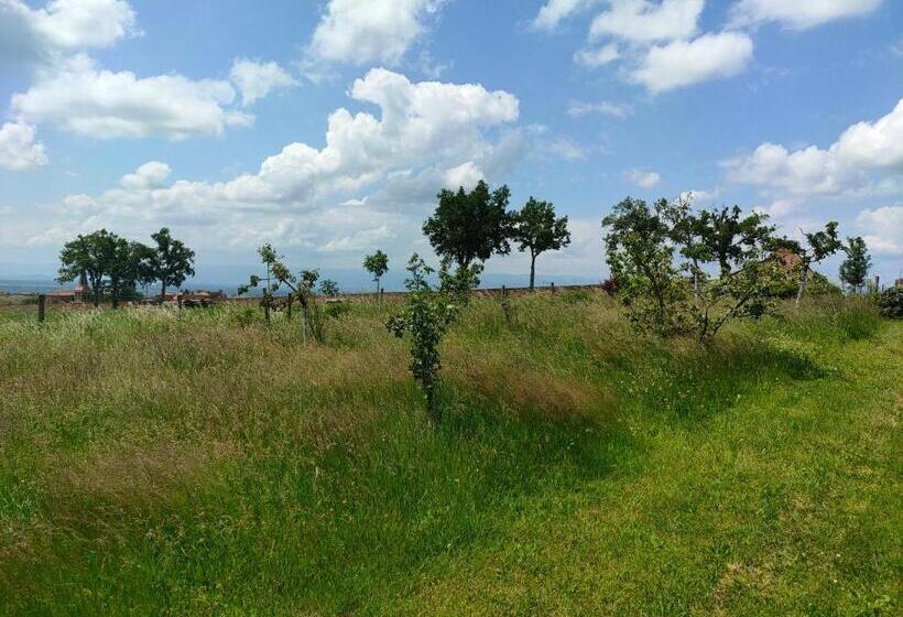 膳宿费 Séjour Au Domaine Saint Marcel De Félines