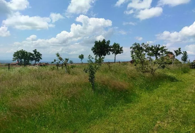 ペンション Séjour Au Domaine Saint Marcel De Félines