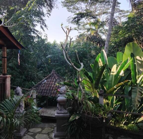 膳宿费 Umah Mimpi