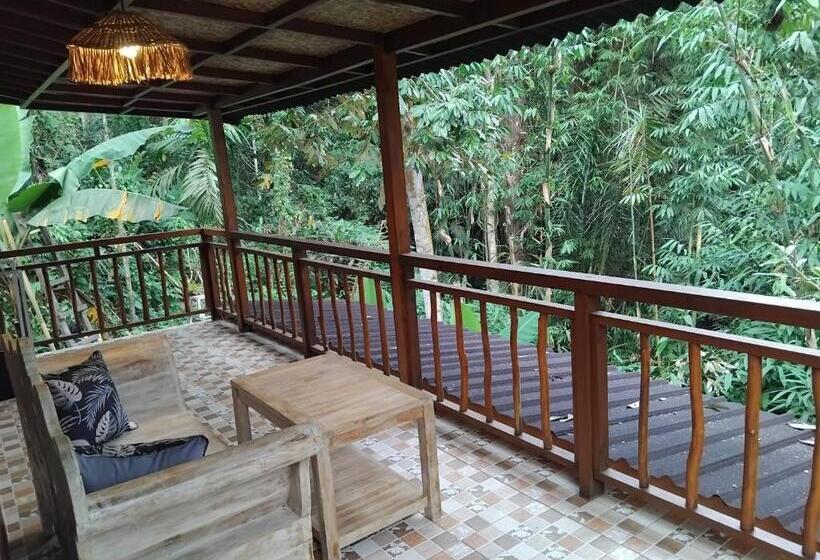 膳宿费 Umah Mimpi