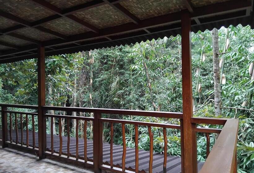 膳宿费 Umah Mimpi