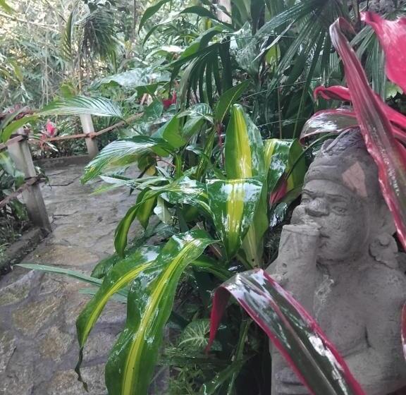 膳宿费 Umah Mimpi