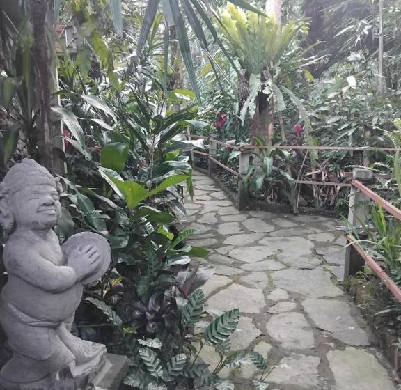 膳宿费 Umah Mimpi