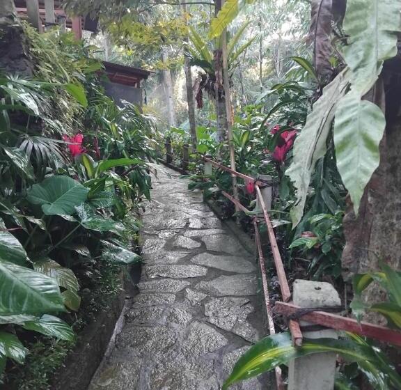 膳宿费 Umah Mimpi