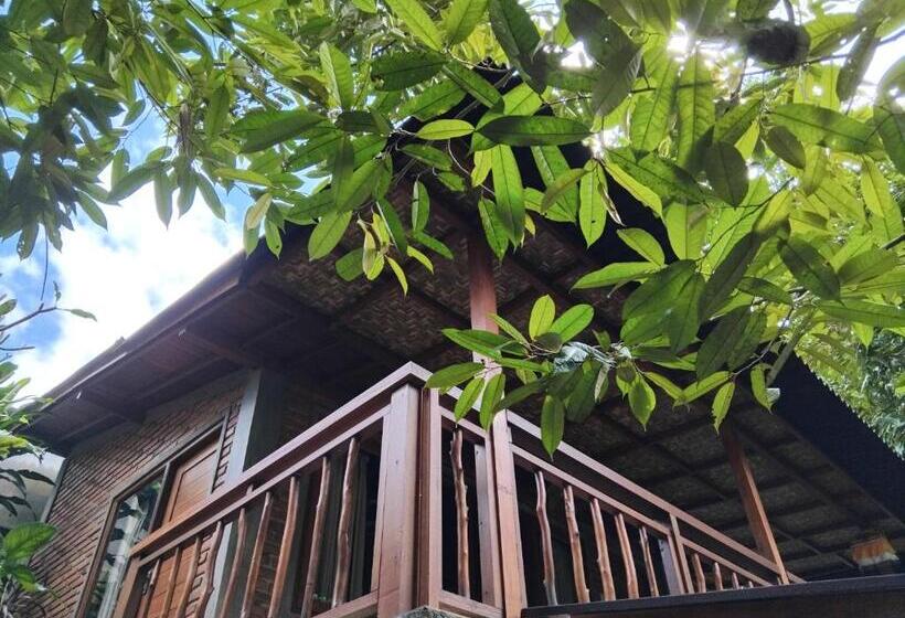 膳宿费 Umah Mimpi