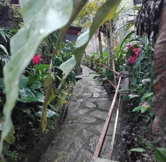 膳宿费 Umah Mimpi