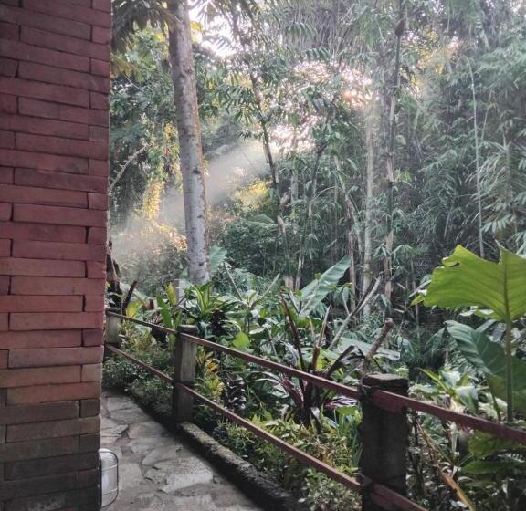 膳宿费 Umah Mimpi