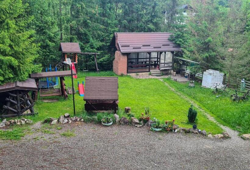 بنسيون Vis De Munte