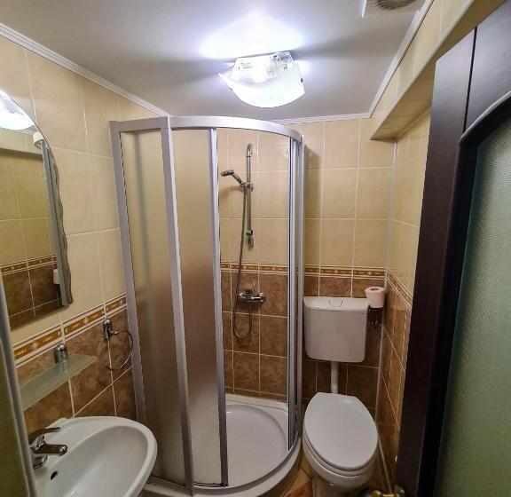 بنسيون Vis De Munte