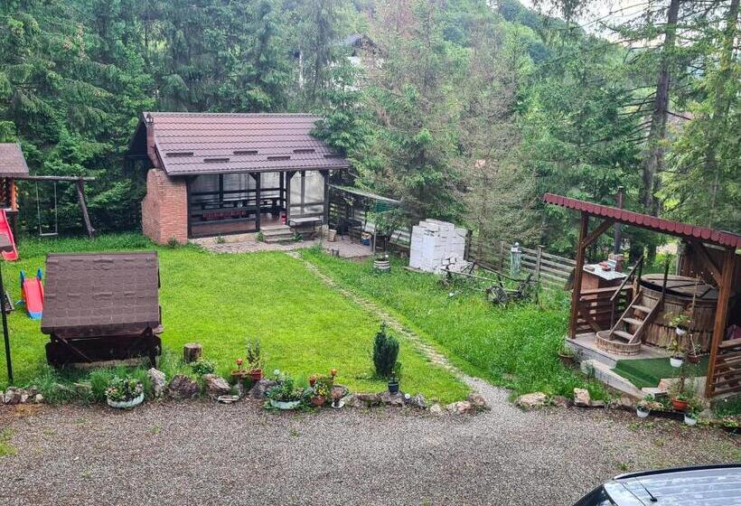 بنسيون Vis De Munte