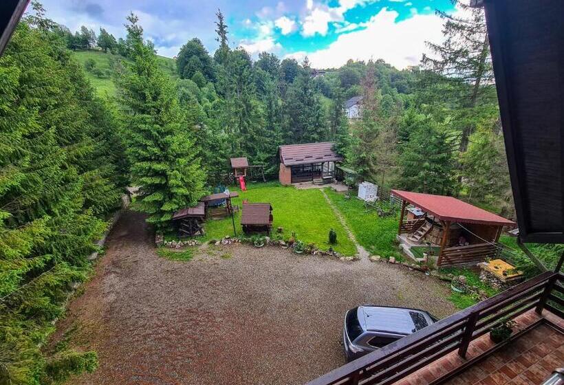 بنسيون Vis De Munte