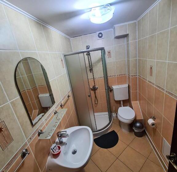 بنسيون Vis De Munte