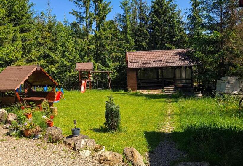 بنسيون Vis De Munte