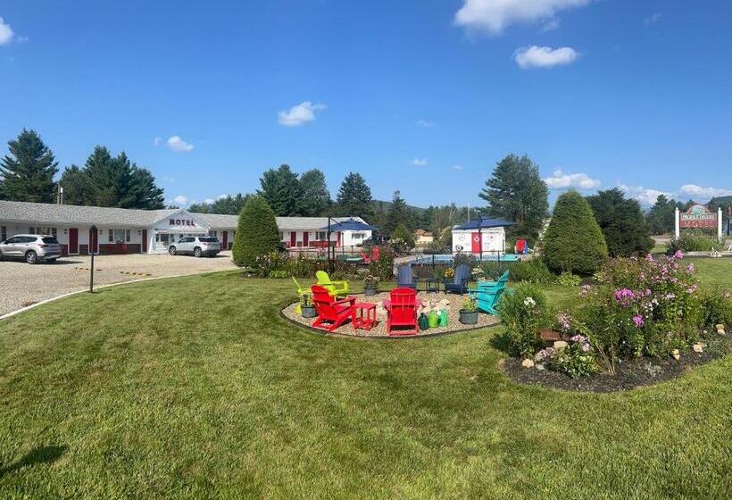 Profile Deluxe Motel