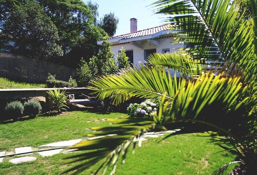 مبيت وإفطار Hah Lay Surf House