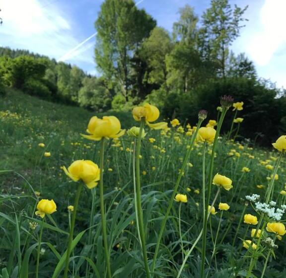 هتل Albergo Slalom