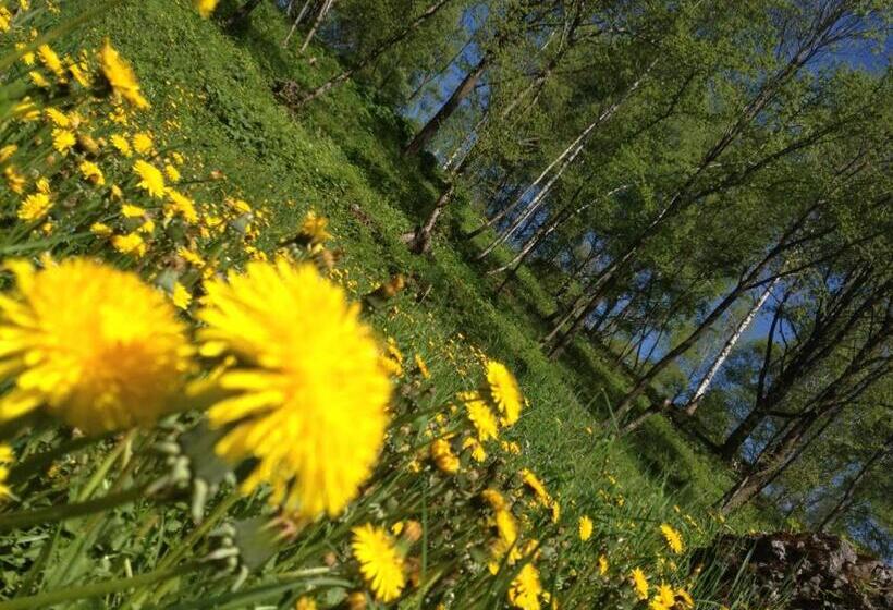 هتل Albergo Slalom